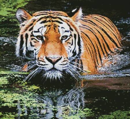 cross stitch pattern Tiger in Swamp (Crop)