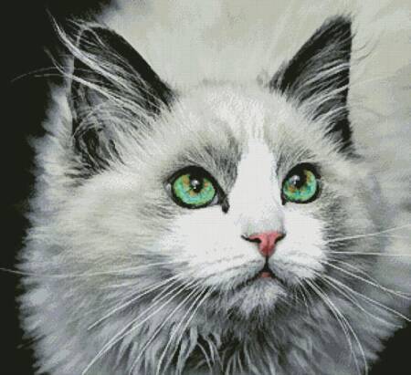 cross stitch pattern Those Eyes