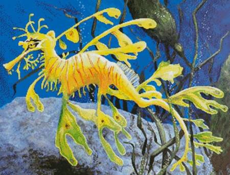 cross stitch pattern Yellow Leafy Sea Dragon