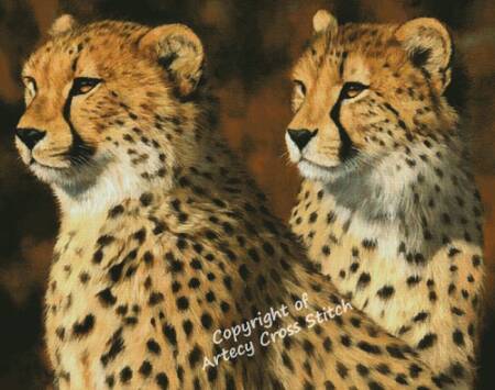 cross stitch pattern Cheetah Brothers (Large)