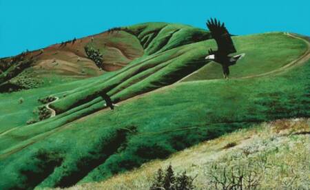 cross stitch pattern Eagles at Little Mountain (Large)