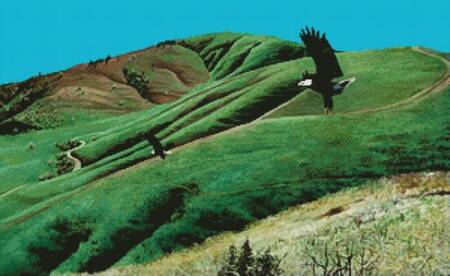 cross stitch pattern Eagles at Little Mountain