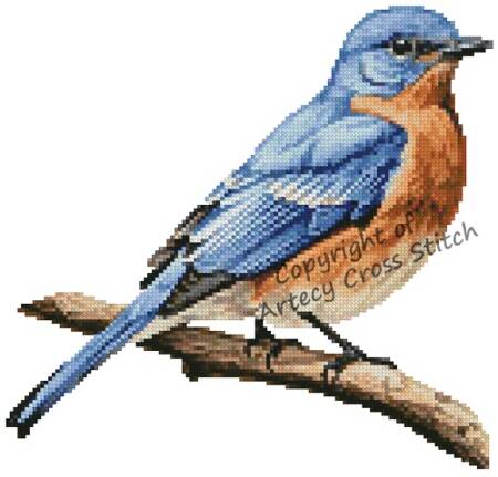 cross stitch pattern Eastern Bluebird