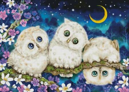 cross stitch pattern Midnight Adventure (Large)