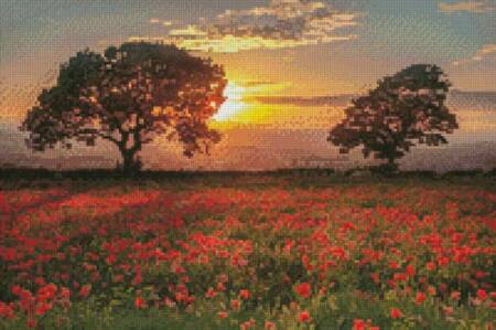 cross stitch pattern Mini Poppies Sunset