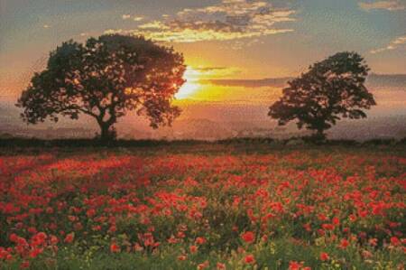 cross stitch pattern Poppies Sunset