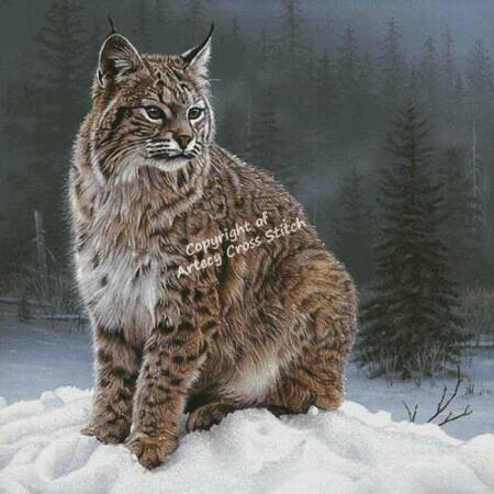 cross stitch pattern Silent Sojourn (Large)