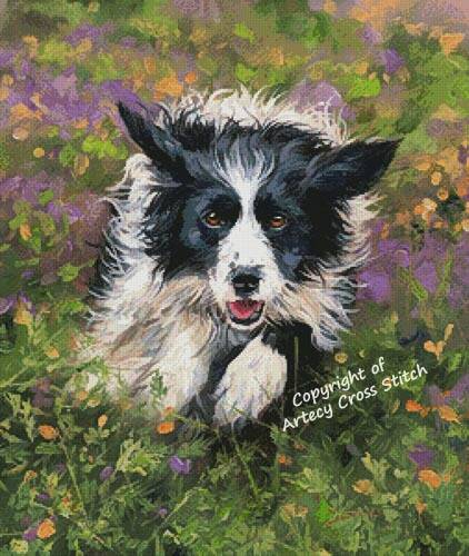 cross stitch pattern Border Collie Running