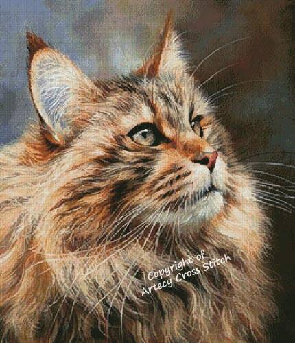 cross stitch pattern Maine Coon