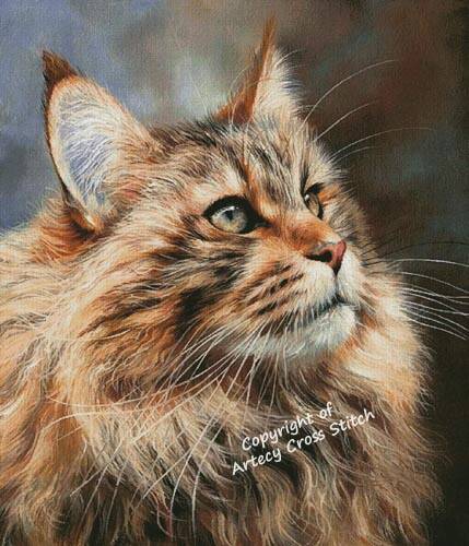 cross stitch pattern Maine Coon (Large)