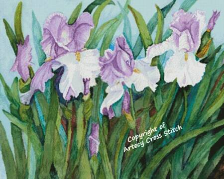 cross stitch pattern Three Lavender Iris