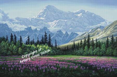 cross stitch pattern Denali Field of Dreams (Large)