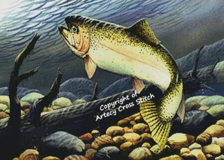 cross stitch pattern Rainbow Trout Swimming