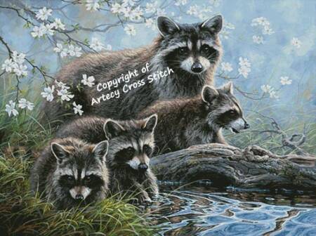 cross stitch pattern Raccoon Family (Large)