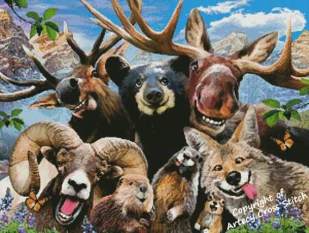 cross stitch pattern Rocky Mountain Selfie