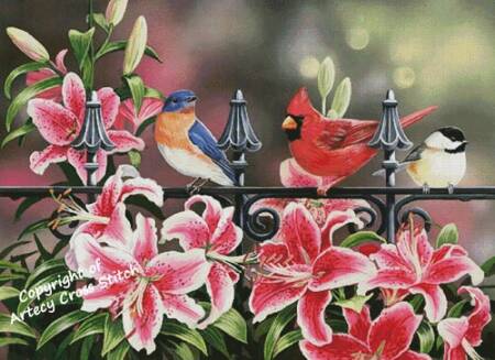 cross stitch pattern Stargazers (Large)