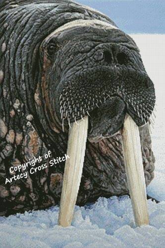 cross stitch pattern Wally