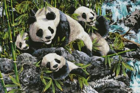 cross stitch pattern 12 Pandas (Large)