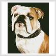 cross stitch pattern Bulldog