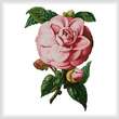 cross stitch pattern Camellia 6
