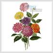 cross stitch pattern Dahlias