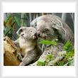 cross stitch pattern Mum and Baby Koala