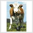 cross stitch pattern Cow 2