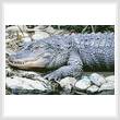cross stitch pattern Alligator 1