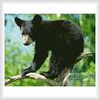 cross stitch pattern Black Bear Cub