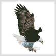 cross stitch pattern Bald Eagle Flying