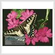 cross stitch pattern Butterfly 3