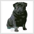 cross stitch pattern Black Pug