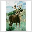 cross stitch pattern Buck