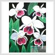 cross stitch pattern Cattleya Orchids