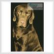 cross stitch pattern Chocolate Lab