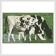 cross stitch pattern Cows