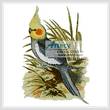 cross stitch pattern Cockatiel
