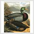 cross stitch pattern Ducks 2