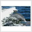 cross stitch pattern Dolphin Photo