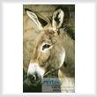 cross stitch pattern Donkey