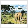 cross stitch pattern Elephants