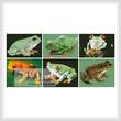 cross stitch pattern Frog Sampler