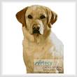 cross stitch pattern Golden Labrador