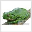 cross stitch pattern Green Tree Frog