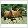 cross stitch pattern Horses 3