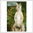 cross stitch pattern Kangaroo Photo