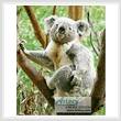 cross stitch pattern Koala Scratch