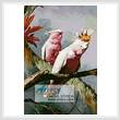 cross stitch pattern Leadbeater Cockatoos