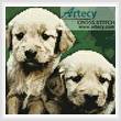 cross stitch pattern Mini Golden Retriever Puppies