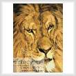 cross stitch pattern Mini Lion 6